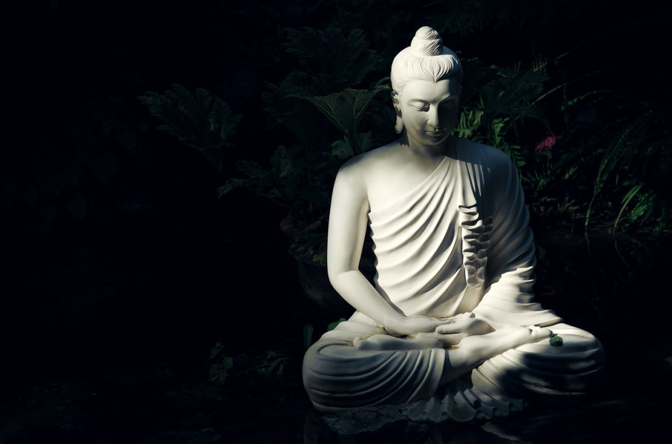 Sejarah Buddha